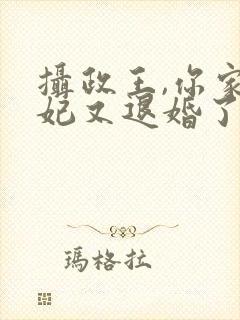 摄政王,你家王妃又退婚了