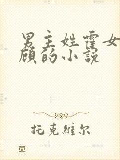 男主姓霍女主姓顾的小说封面