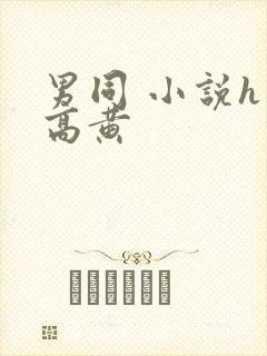 男同 小说h 高黄