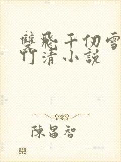 双飞千仞雪和朱竹清小说封面