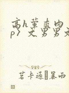 高h荤爽肉〈np〉文男男文