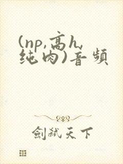 (np,高h,纯肉)音频