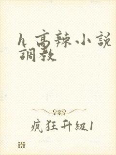 h 高辣小说 调教封面