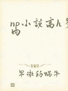 np小说高h多肉封面