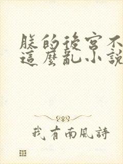 朕的后宫不可能这么乱小说免费