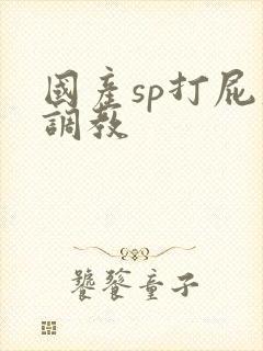 国产sp打屁股调教