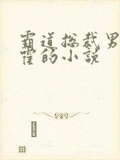 霸道总裁男主姓霍的小说封面