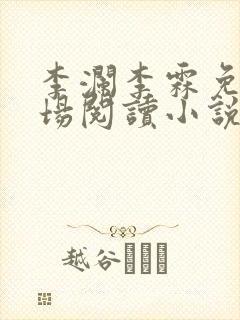 李澜李霖免费官场阅读小说封面