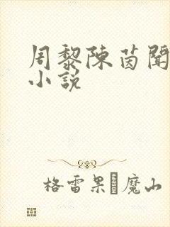 周黎陈茵闻岁聿小说