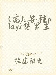 (高h,各种play)双男主