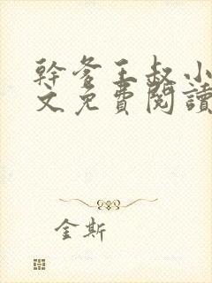 干爹王叔小说全文免费阅读最新章节