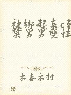 被绑起来c到失禁男男双性被囚禁在别封面