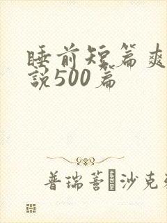 睡前短篇爽文小说500篇