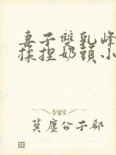 妻子双乳峰摸晃揉捏奶头小说