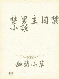 双男主囚禁高h小说封面