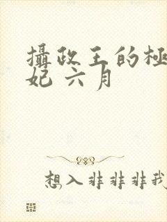 摄政王的极品医妃 六月