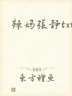 辣妈张静txt封面