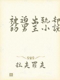 被迫出轨却上瘾的男主小说