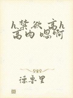 h禁欲 高h 高肉 嗯啊