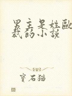 男主是姓欧的总裁的小说