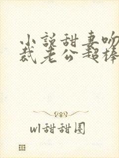 小说甜妻吻安总裁老公超棒的封面