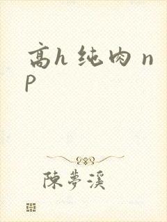 高h 纯肉 np