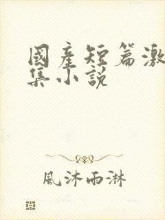 国产短篇激情合集小说封面