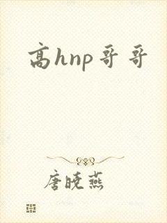 高hnp哥哥封面