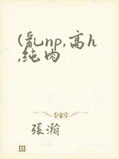 (乱np,高h,纯肉