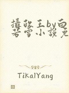 摄政王by白衣若雪小说免费阅读