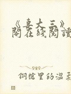 《妻大三》笔趣阁在线阅读封面