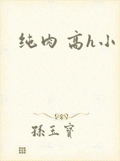 纯肉 高h小说
