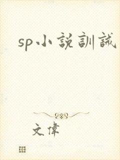 sp小说训诫文