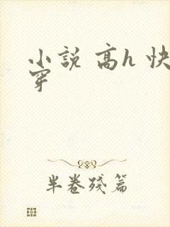 小说 高h 快穿