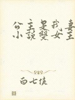 公主是我妻莺儿小说双女主封面