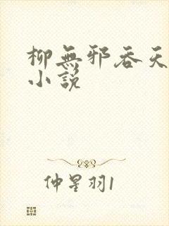 柳无邪吞天神鼎小说