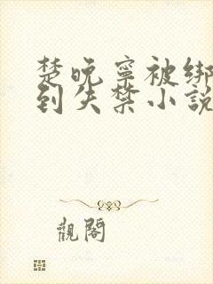 楚晚宁被绑着c到失禁小说