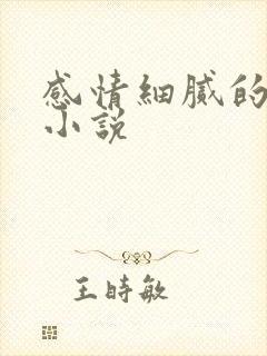 感情细腻的玄幻小说
