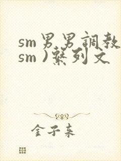 sm男男调教(sm )系列文