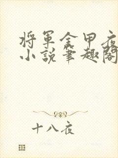 将军金甲夜不脱小说笔趣阁