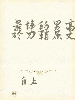 最棒的男高中生于刀鞘原文阅读