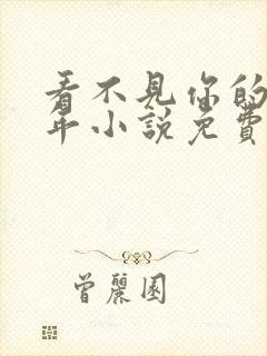 看不见你的第十年小说免费阅读