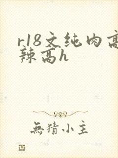 r18文纯肉高辣高h