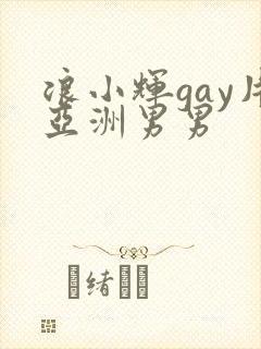 浪小辉gay片亚洲男男