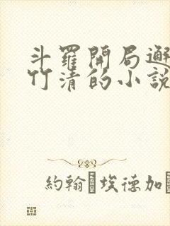 斗罗开局邂逅朱竹清的小说