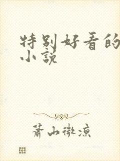 特别好看的言情小说
