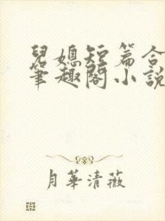 儿媳短篇合集新笔趣阁小说