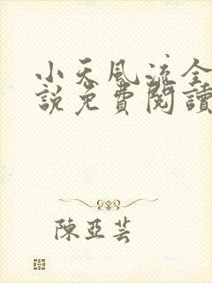 小天风流全集小说免费阅读