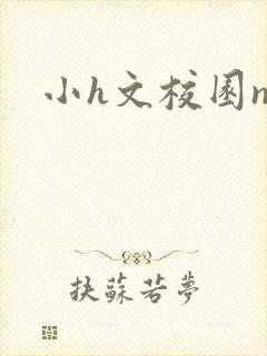 小h文校园np