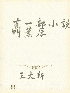 有一部小说主角叫叶辰